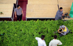 معهدُ القرآن الكريم وأقسامُ العتبة العباسية المقدسة يواصلون استعداداتهم الخاصة بالبرامج القرآنية الرمضانية..